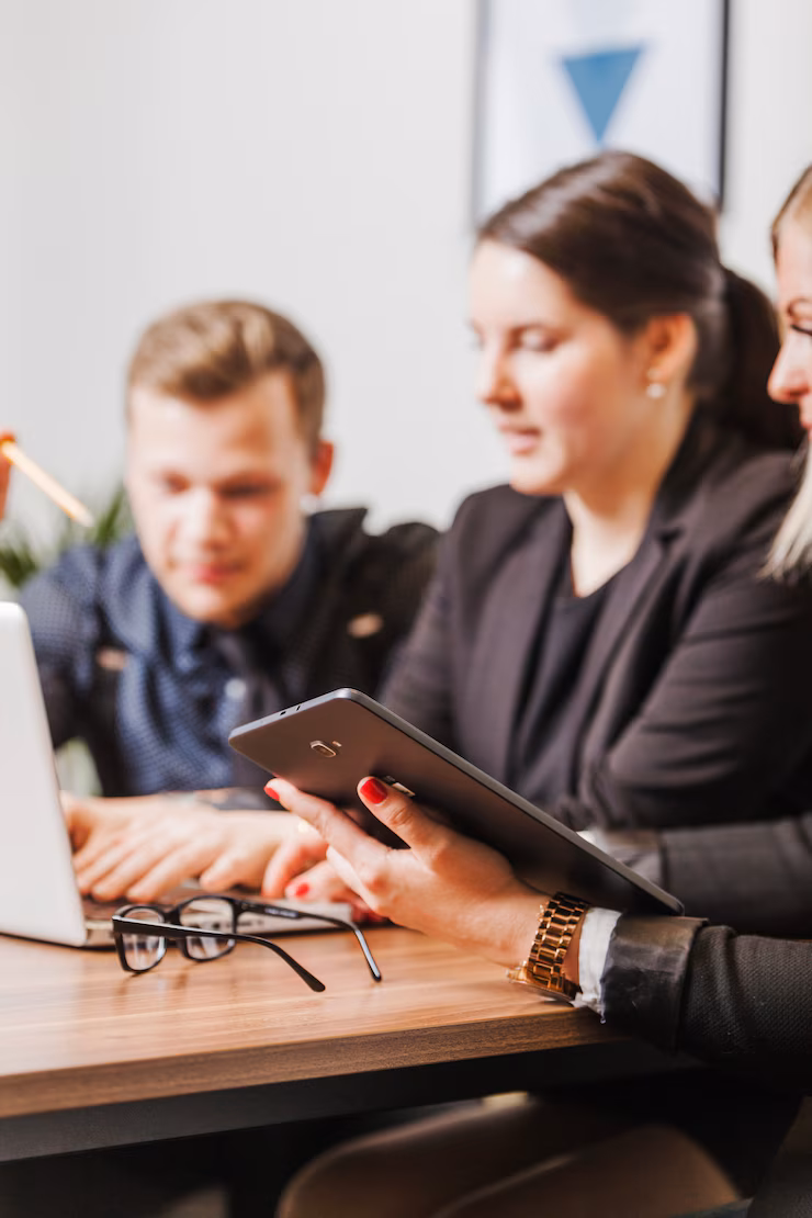 Litigation services